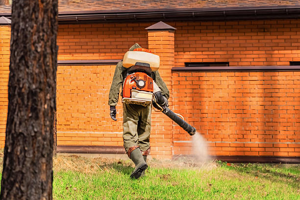 Trusted Cockroach Control service in South Oroville, CA - Nex Pest Control